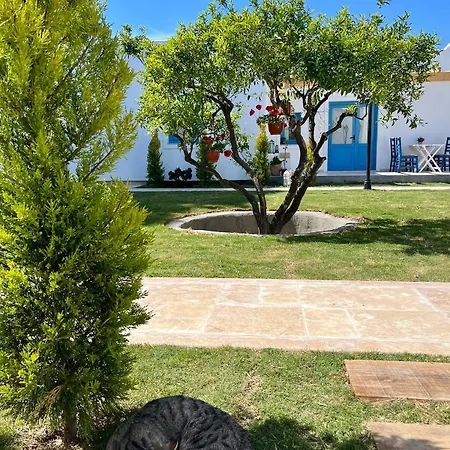 Jakaranda Unique Turgutreis